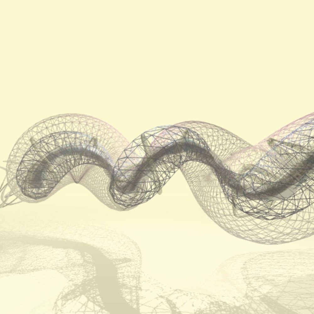 ProtoNematode 01 — a generative artificial-life form by Ira Greenberg